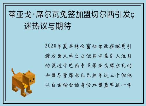 蒂亚戈·席尔瓦免签加盟切尔西引发球迷热议与期待