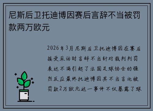 尼斯后卫托迪博因赛后言辞不当被罚款两万欧元